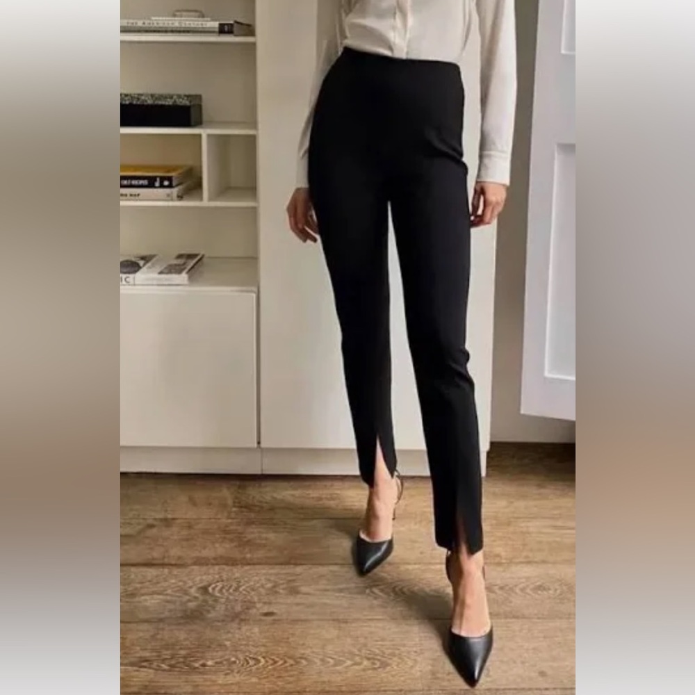 Aritizia Babaton Jotham skinny trousers